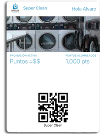 Programa de Puntos